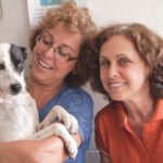 Não pode adotar agora? Conheça o apadrinhamento pet. Entenda como funciona este modelo de apoio que garante saúde e bem-estar para animais carentes.