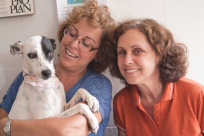 Não pode adotar agora? Conheça o apadrinhamento pet. Entenda como funciona este modelo de apoio que garante saúde e bem-estar para animais carentes.