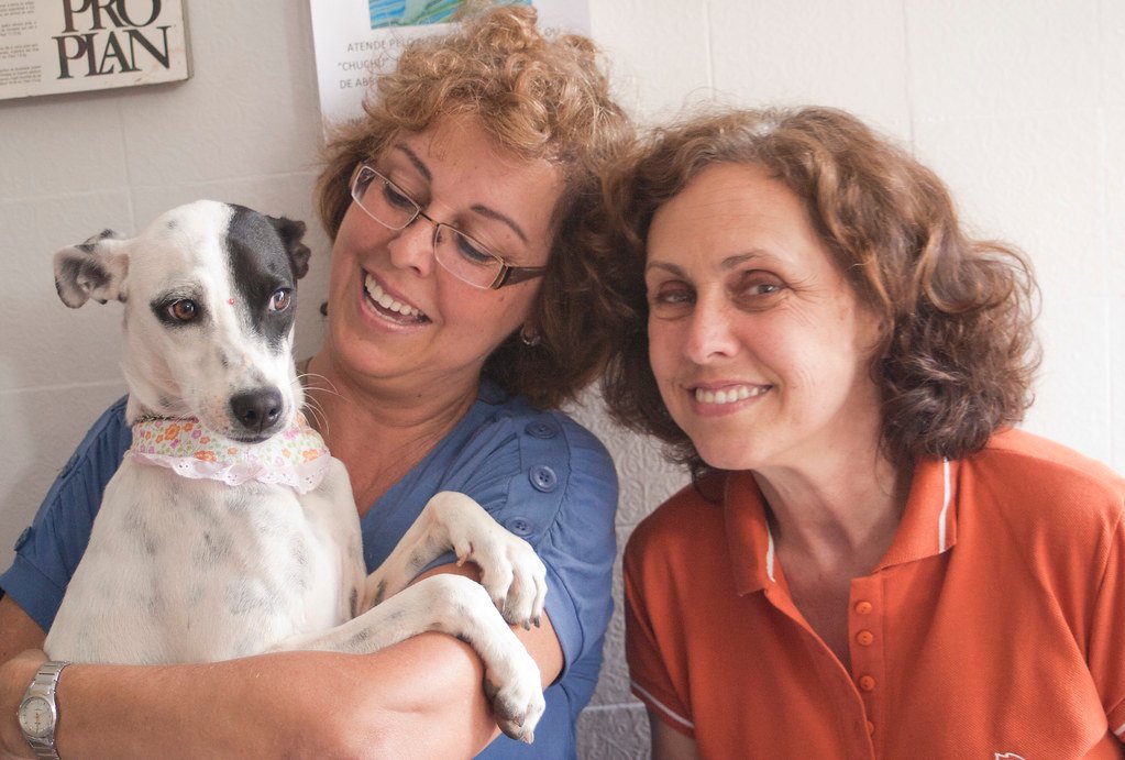 Não pode adotar agora? Conheça o apadrinhamento pet. Entenda como funciona este modelo de apoio que garante saúde e bem-estar para animais carentes.
