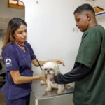 Discover the breakthrough stem cell protocols from VMX 2026. Learn how regenerative medicine is curing chronic pain and organ failure in pets.