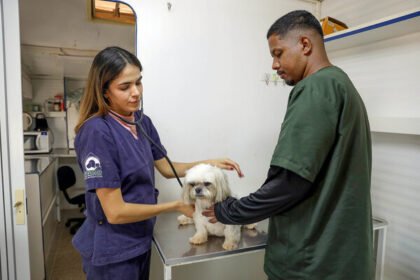 Discover the breakthrough stem cell protocols from VMX 2026. Learn how regenerative medicine is curing chronic pain and organ failure in pets.