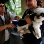 Entenda a imunologia veterinária, calendários vacinais e protocolos de prevenção para cães e gatos. Proteção baseada em estudos clínicos.