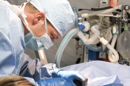 O risco invisível da ração pet: toxinas, recalls e o perigo dos ultraprocessados. Saiba como proteger seu animal com dados científicos.