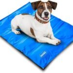 Tapete gelado para pets funciona? Descubra como refrescar seu cão no calor, dicas de uso, segurança do gel térmico e se vale o investimento.