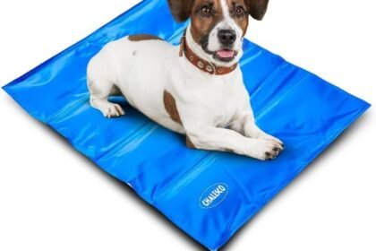 Tapete gelado para pets funciona? Descubra como refrescar seu cão no calor, dicas de uso, segurança do gel térmico e se vale o investimento.