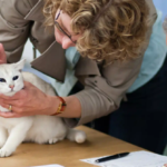 Mercado pet 2026: Entenda por que a especialização veterinária eleva o custo e a qualidade do cuidado para cães e gatos de classe média.