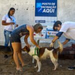 Janeiro Branco: o papel vital dos pets na saúde mental. Descubra benefícios clínicos, regulação emocional e o impacto na saúde pública 2026.