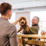 Vai viajar? Confira o que o hotel para cachorros precisa oferecer para garantir saúde e segurança. Vacinas e cuidados essenciais em 2026.