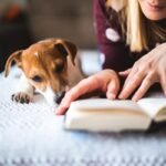 Quer incentivar a leitura e o amor pelos animais? Confira os melhores livros infantis sobre cachorros para educar e divertir as crianças.