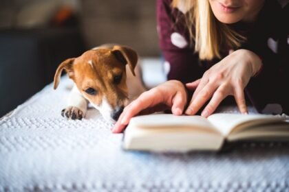 Quer incentivar a leitura e o amor pelos animais? Confira os melhores livros infantis sobre cachorros para educar e divertir as crianças.